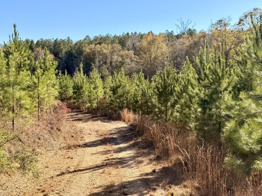 0 Butler Street 0 Wildfork Road Frisco City AL 36445