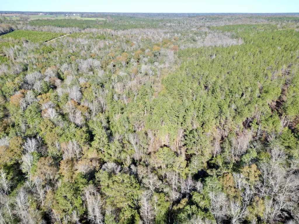 0 Butler Street 0 Wildfork Road Frisco City AL 36445