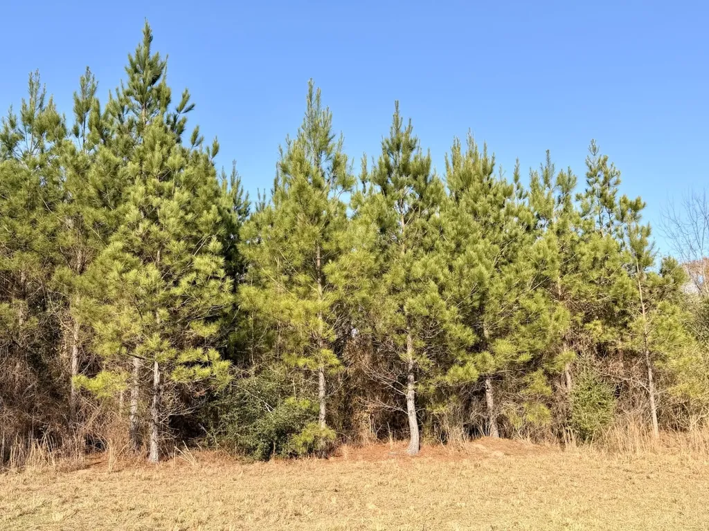 0 Butler Street 0 Wildfork Road Frisco City AL 36445