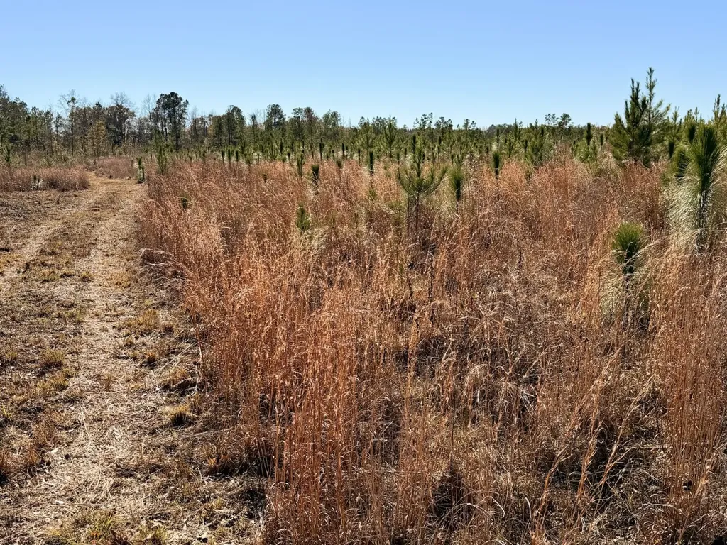 0 Butler Street 0 Wildfork Road Frisco City AL 36445