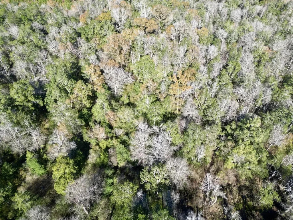 0 Butler Street 0 Wildfork Road Frisco City AL 36445