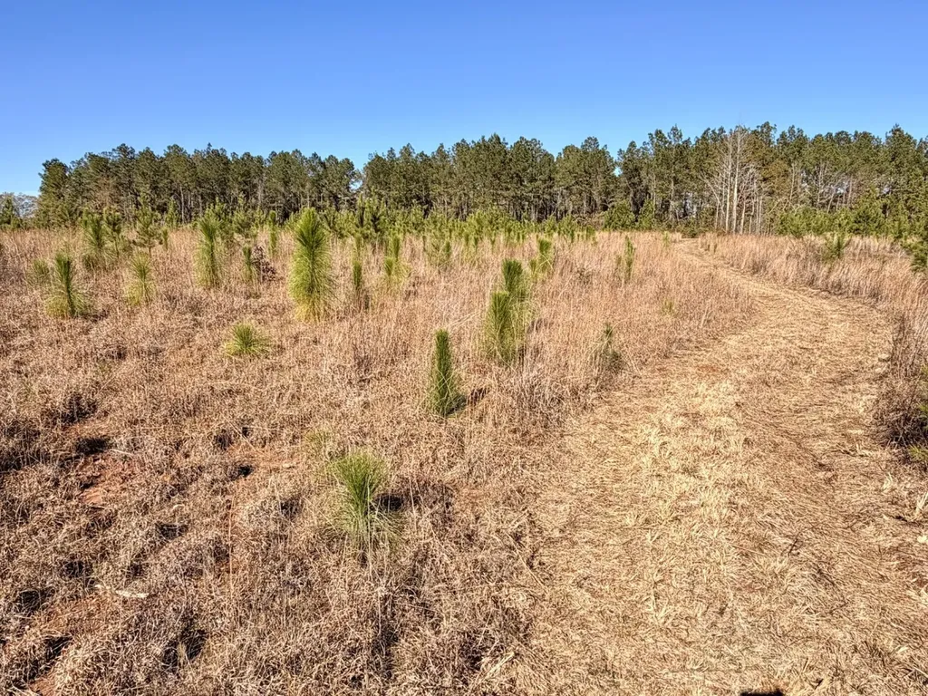 0 Butler Street 0 Wildfork Road Frisco City AL 36445