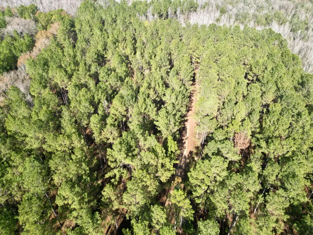 0 Butler Street 0 Wildfork Road Frisco City AL 36445