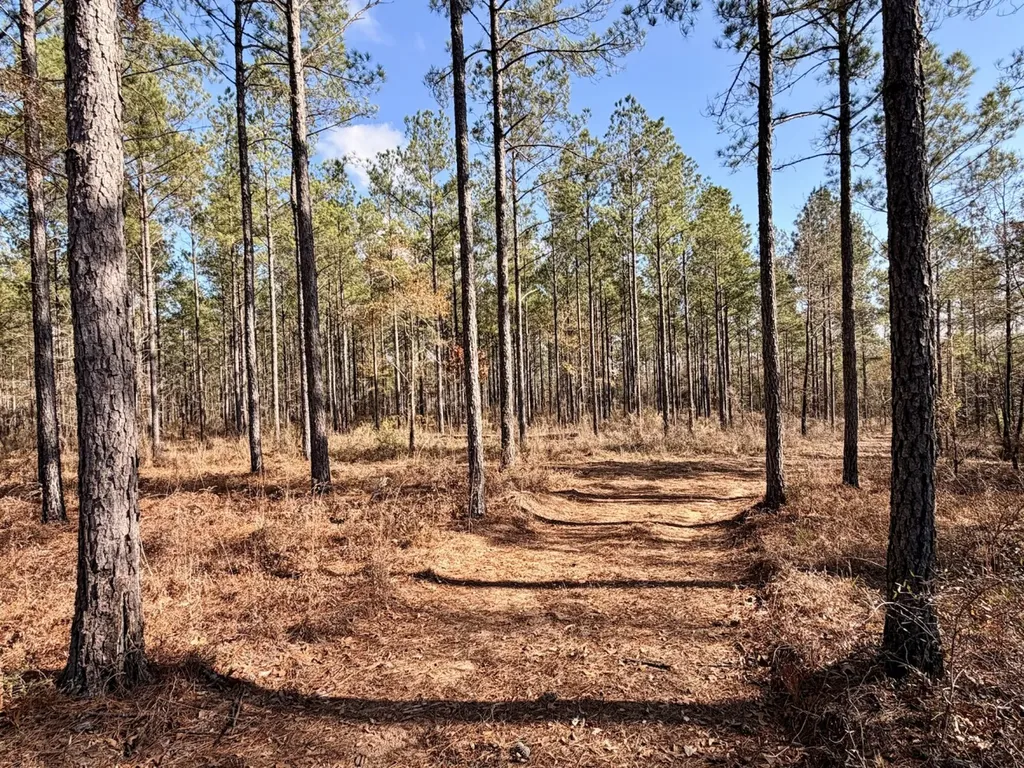 0 Butler Street 0 Wildfork Road Frisco City AL 36445