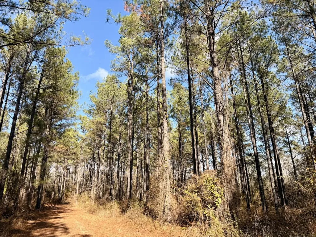 0 Butler Street 0 Wildfork Road Frisco City AL 36445