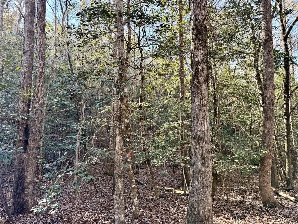 0 Butler Street 0 Wildfork Road Frisco City AL 36445