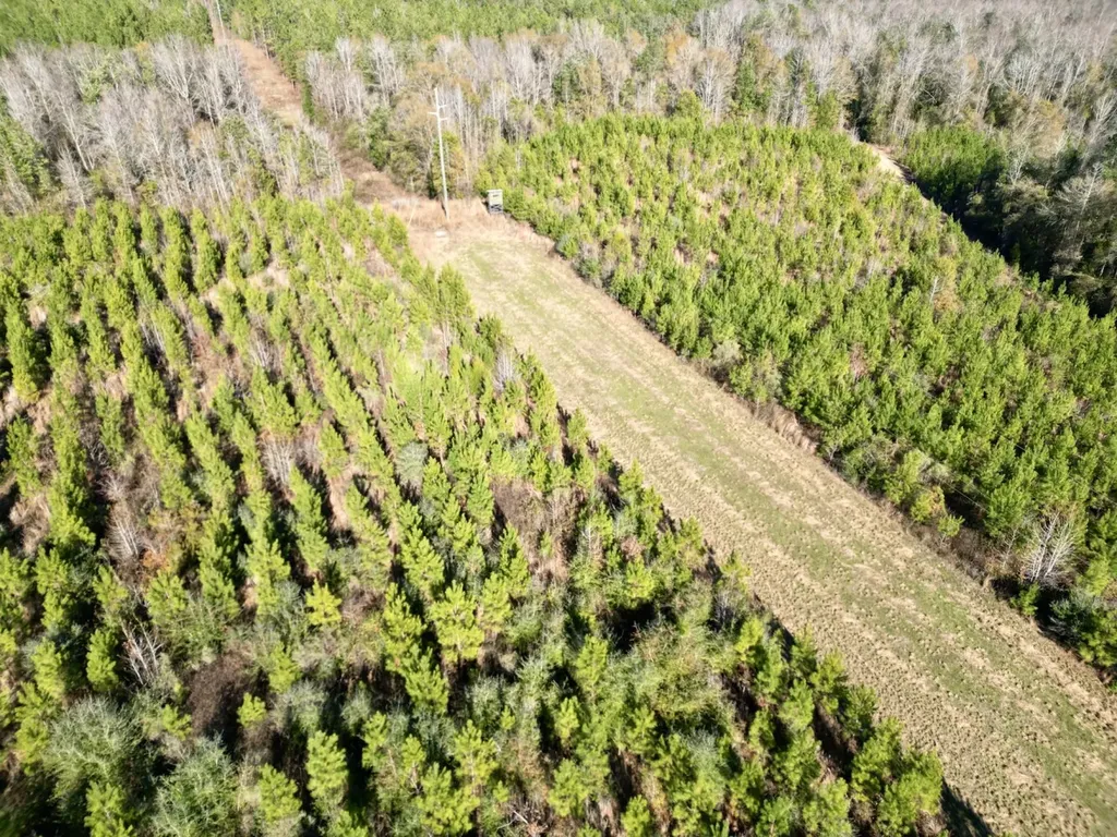 0 Butler Street 0 Wildfork Road Frisco City AL 36445