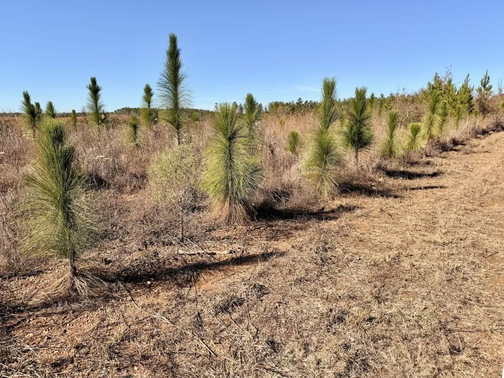 0 Butler Street 0 Wildfork Road Frisco City AL 36445