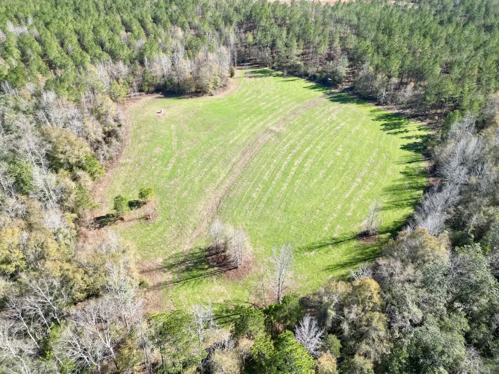 0 Butler Street 0 Wildfork Road Frisco City AL 36445