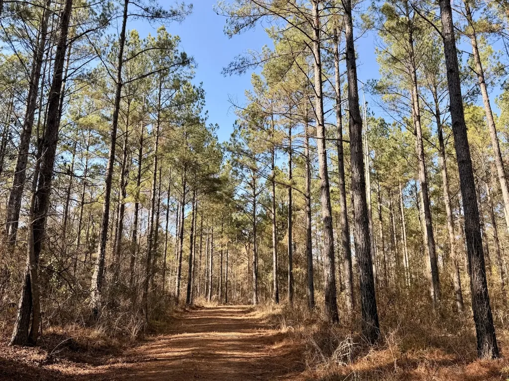 0 Butler Street 0 Wildfork Road Frisco City AL 36445