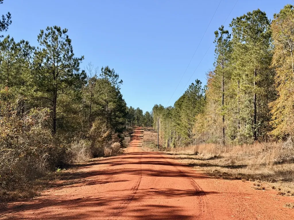 0 Butler Street 0 Wildfork Road Frisco City AL 36445