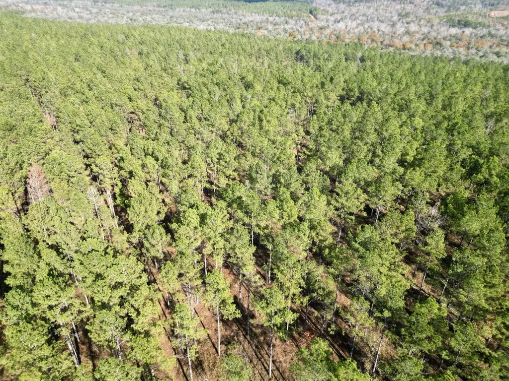 0 Butler Street 0 Wildfork Road Frisco City AL 36445