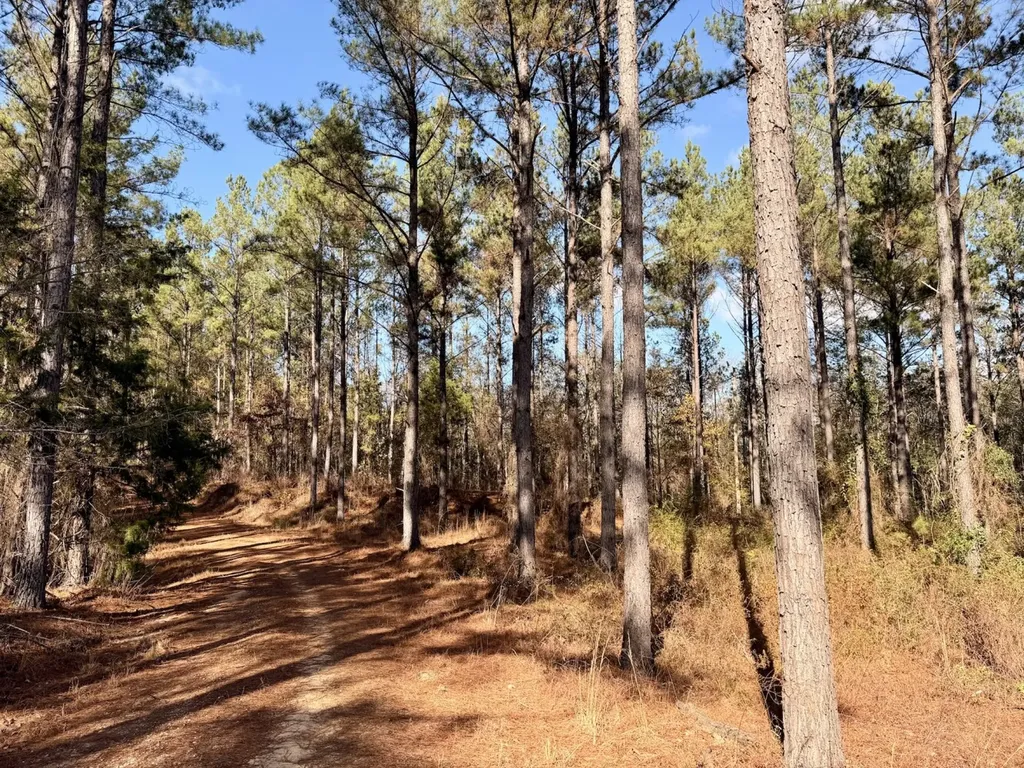 0 Butler Street 0 Wildfork Road Frisco City AL 36445