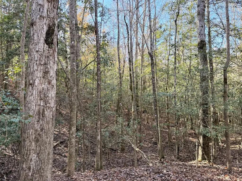 0 Butler Street 0 Wildfork Road Frisco City AL 36445