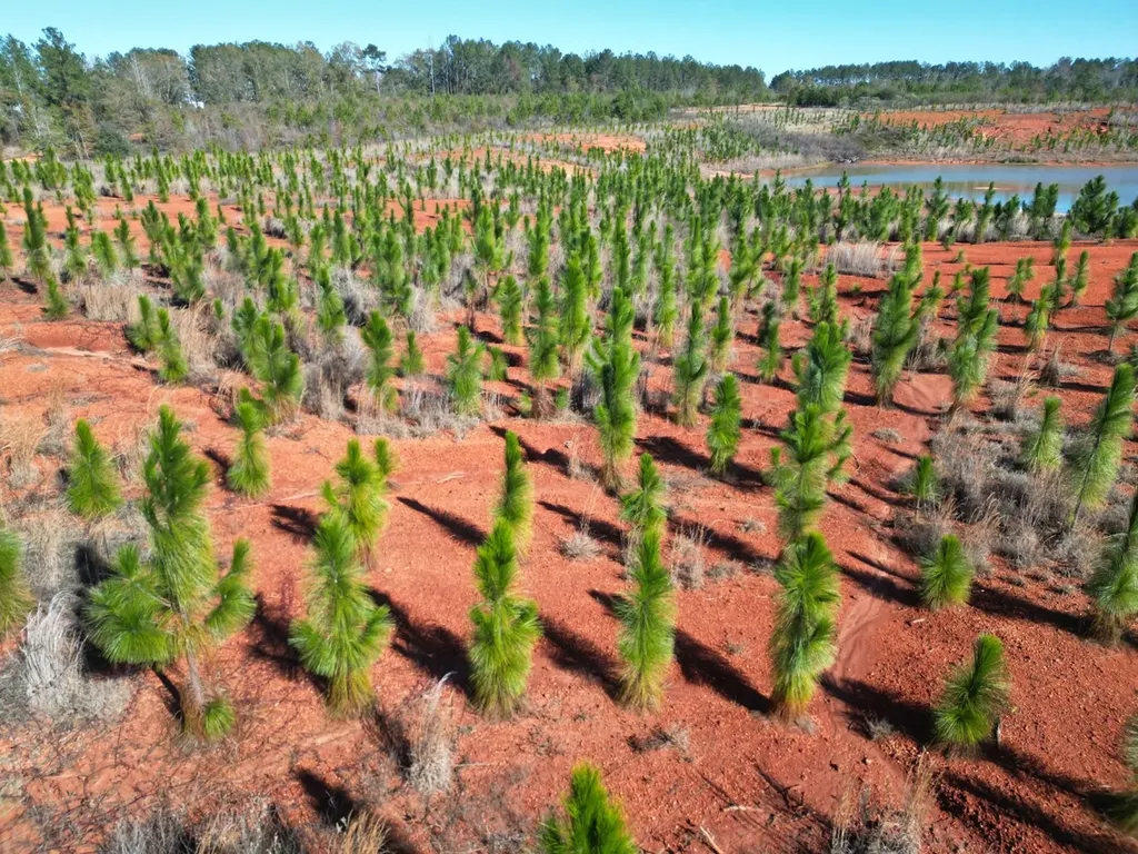 0 Butler Street 0 Wildfork Road Frisco City AL 36445