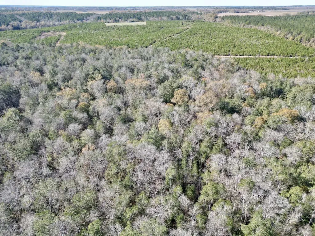 0 Butler Street 0 Wildfork Road Frisco City AL 36445