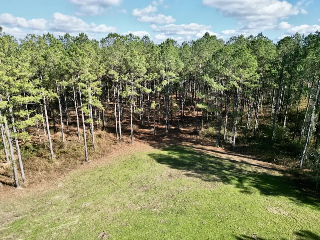 0 Butler Street 0 Wildfork Road Frisco City AL 36445