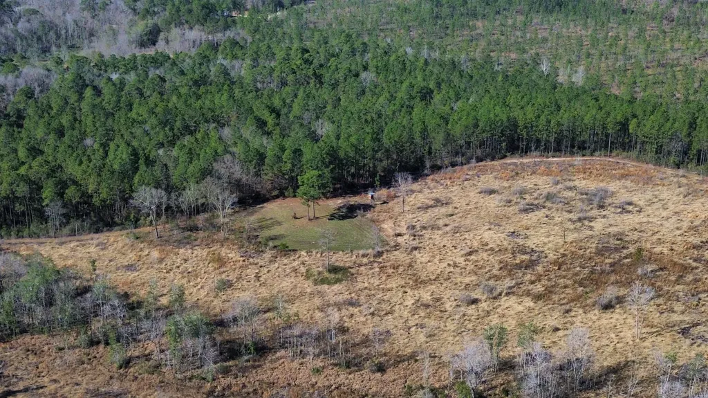 0 Splinter Hill Road Perdido AL 36562