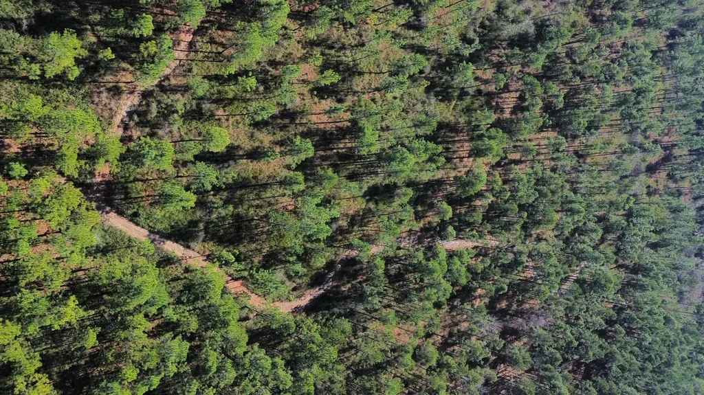 0 Splinter Hill Road Perdido AL 36562