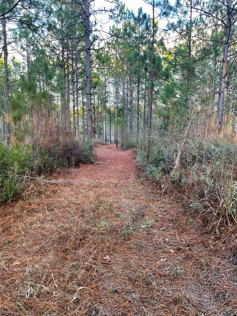 0 Splinter Hill Road Perdido AL 36562