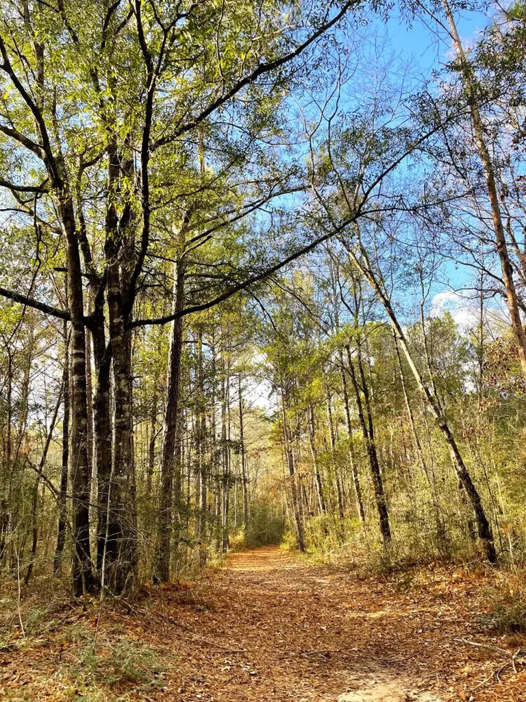 0 Jack Springs Road Perdido AL 36562