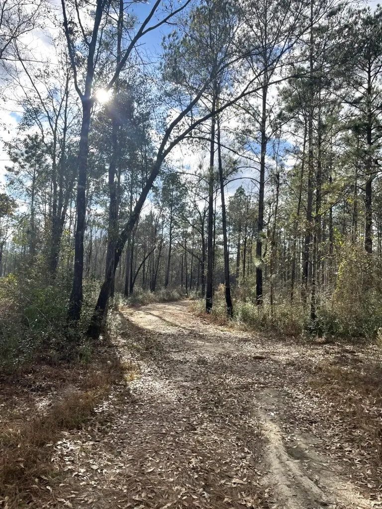 0 Jack Springs Road Perdido AL 36562
