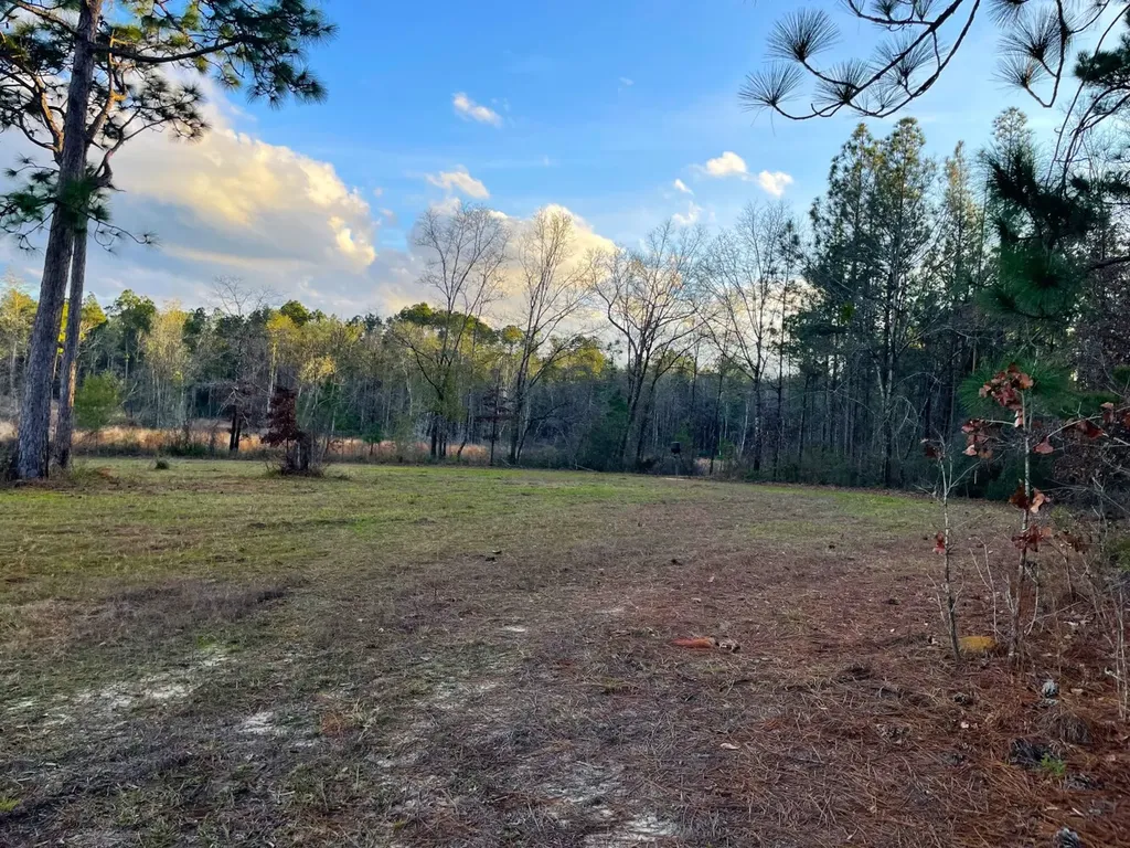 0 Jack Springs Road Perdido AL 36562