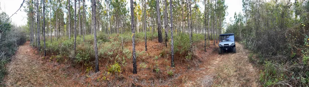 0 Jack Springs Road Perdido AL 36562