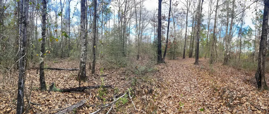 0 Jack Springs Road Perdido AL 36562
