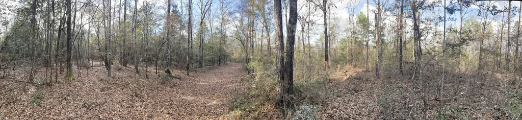 0 Jack Springs Road Perdido AL 36562