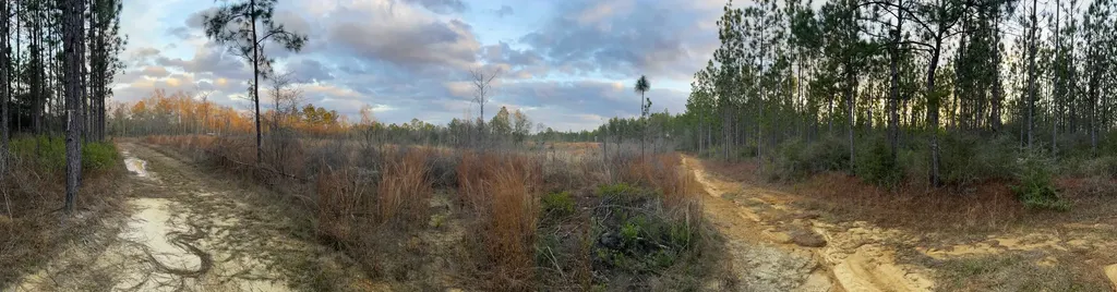 0 Jack Springs Road Perdido AL 36562