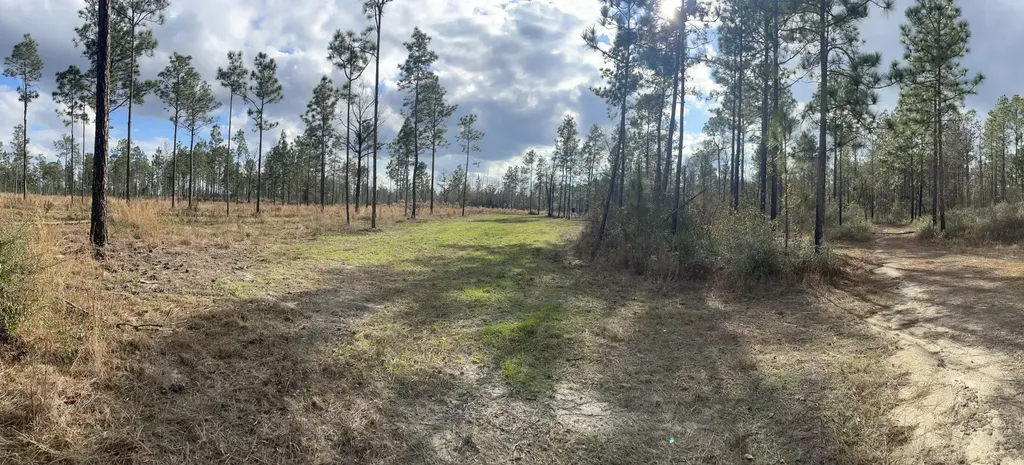 0 Jack Springs Road Perdido AL 36562