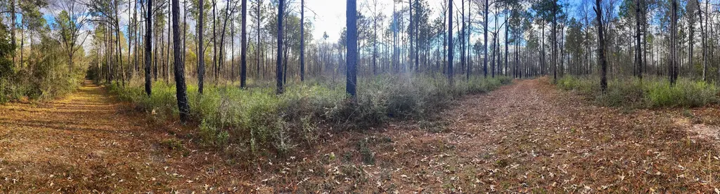 0 Jack Springs Road Perdido AL 36562