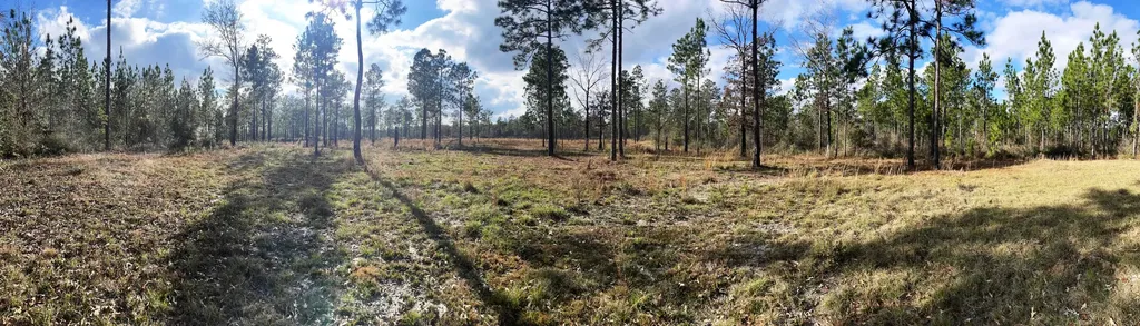 0 Jack Springs Road Perdido AL 36562