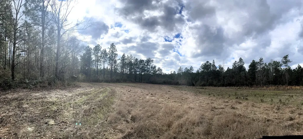 0 Jack Springs Road Perdido AL 36562