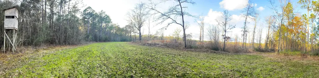 0 Jack Springs Road Perdido AL 36562