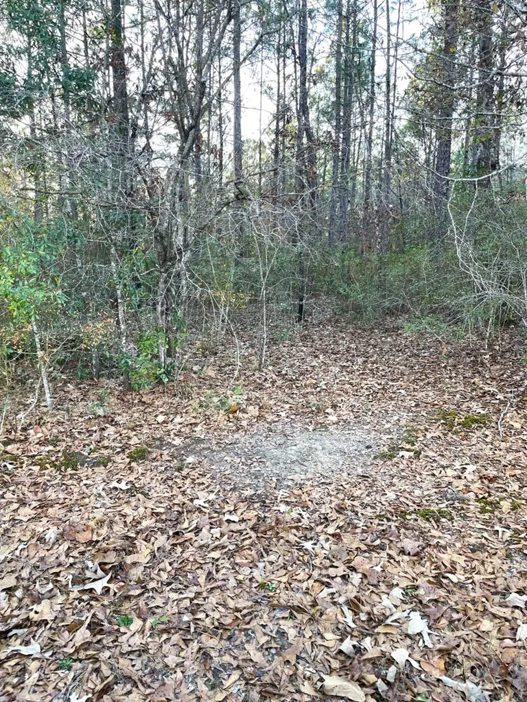 0 Jack Springs Road Perdido AL 36562