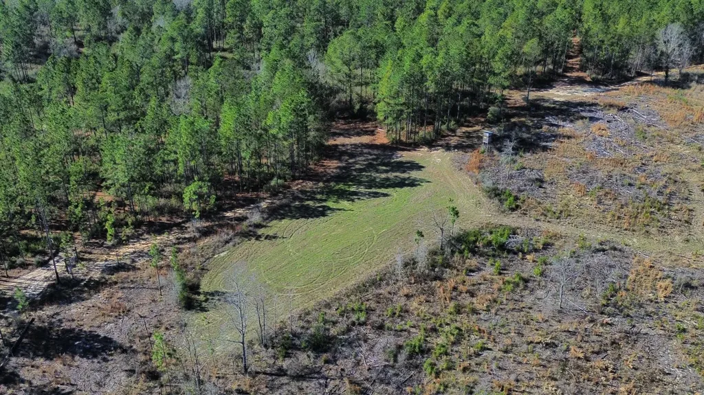 0 Jack Springs Road Perdido AL 36562