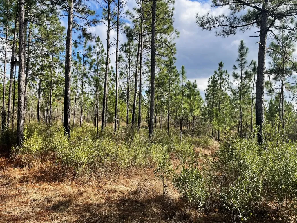 0 Jack Springs Road Perdido AL 36562