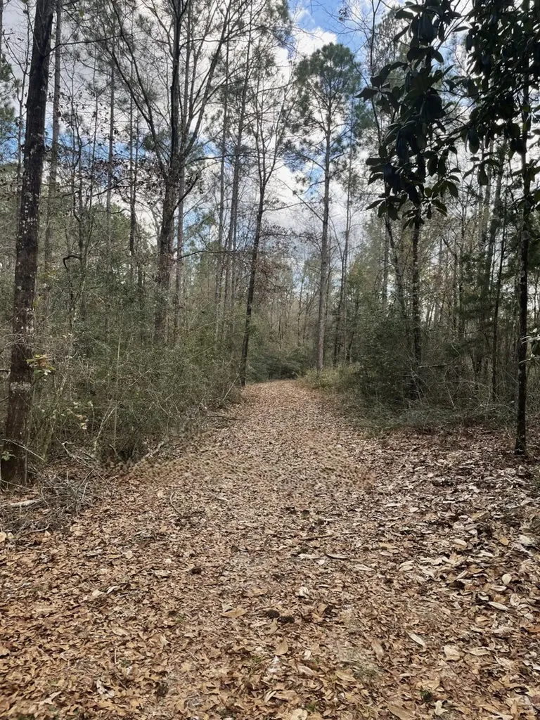 0 Jack Springs Road Perdido AL 36562