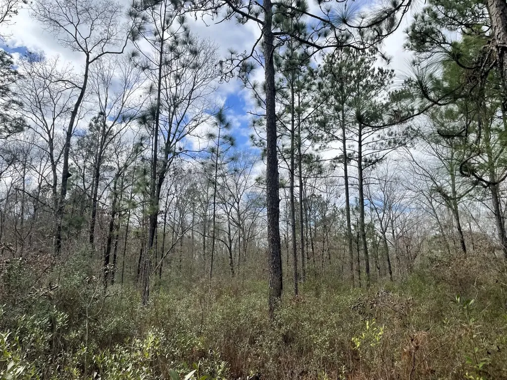 0 Jack Springs Road Perdido AL 36562