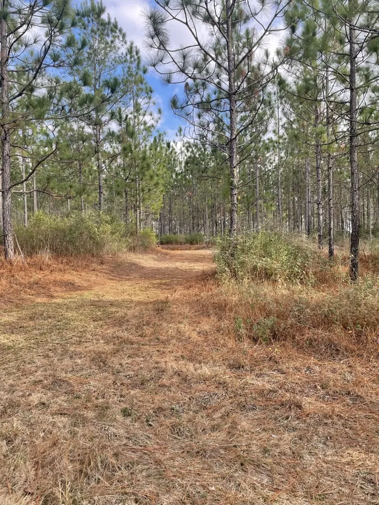0 Jack Springs Road Perdido AL 36562