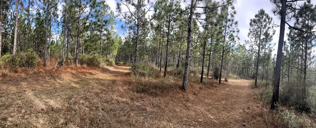 0 Jack Springs Road Perdido AL 36562