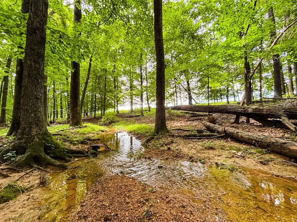 2 County Road 496 Lexington AL 35648