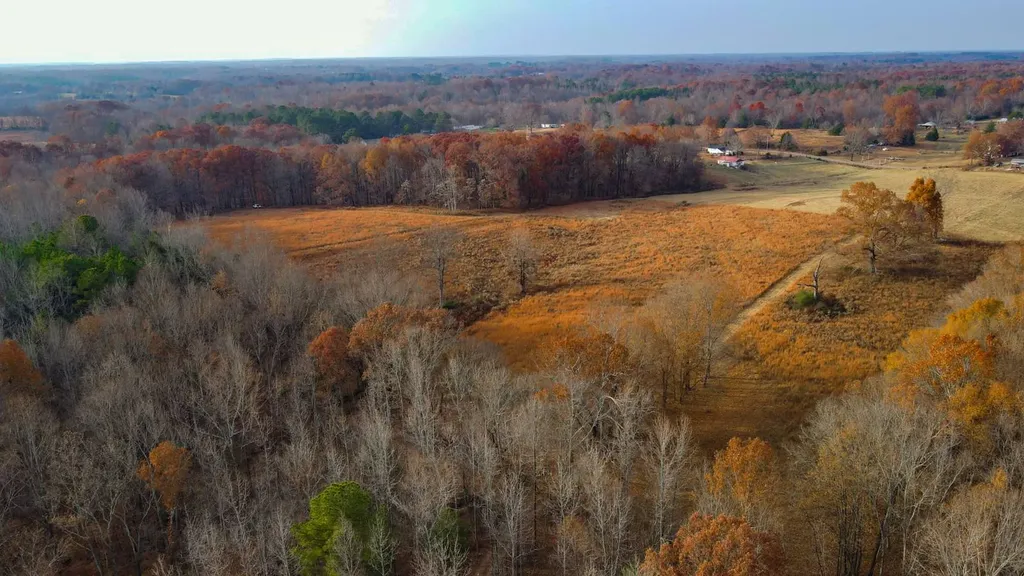 2 County Road 496 Lexington AL 35648