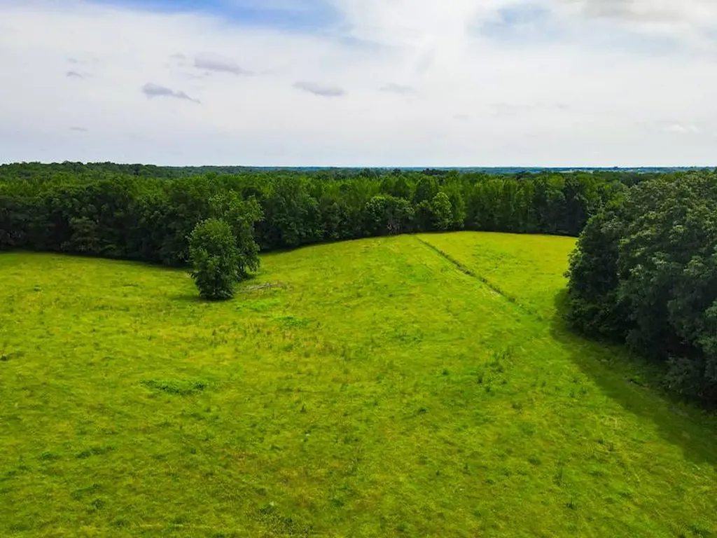 2 County Road 496 Lexington AL 35648