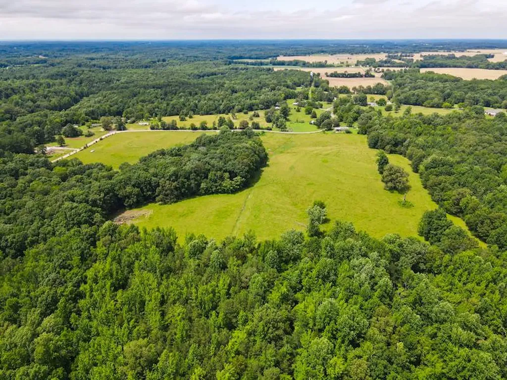 2 County Road 496 Lexington AL 35648