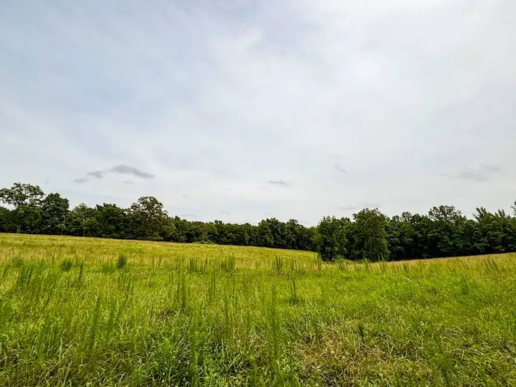 2 County Road 496 Lexington AL 35648