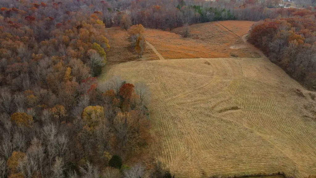 2 County Road 496 Lexington AL 35648