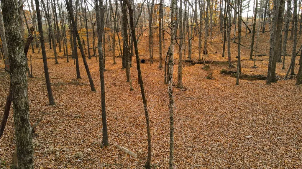 2 County Road 496 Lexington AL 35648